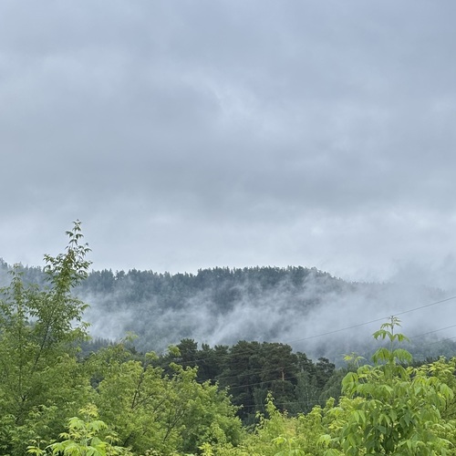 Photo #13780329