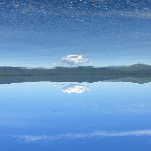 Photo #13780330