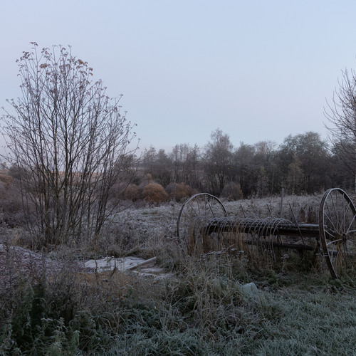 Photo #13780359