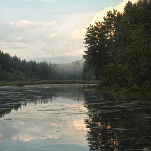 Photo #13780397