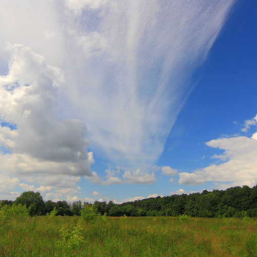 Photo #13780398