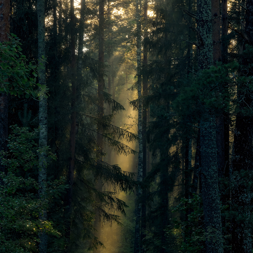 Photo #13780408