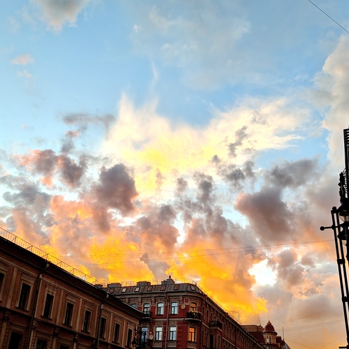 Photo #13780420