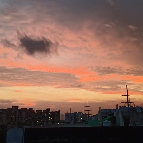 Photo #13780429