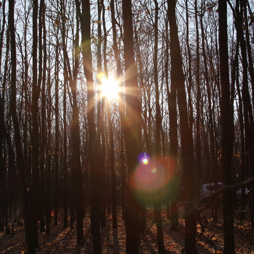 Photo #13780455