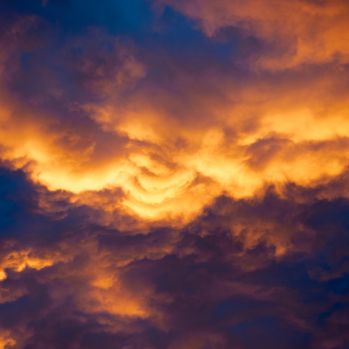 Photo #13780509