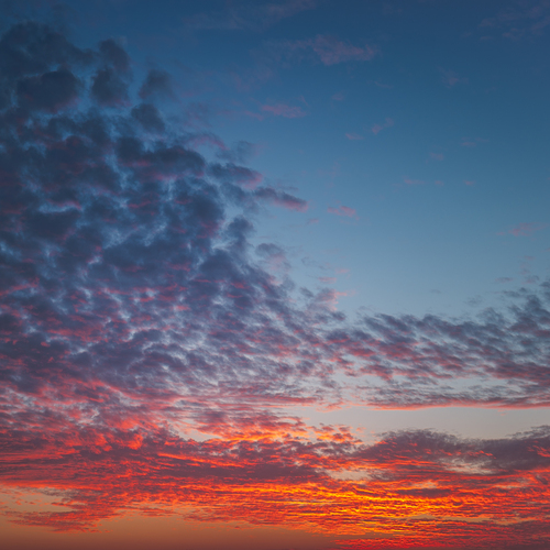 Photo #13780546