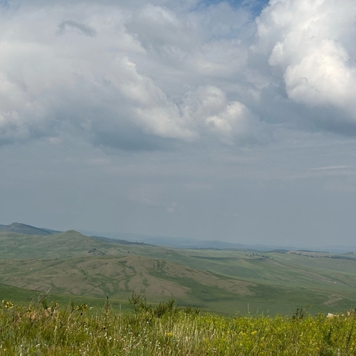 Photo #13780588