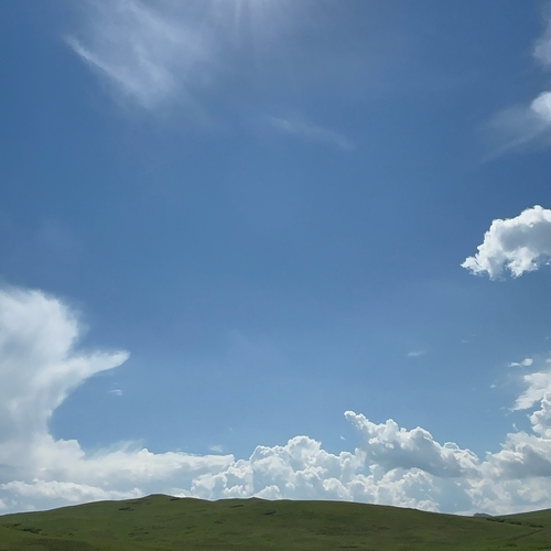 Photo #13780590