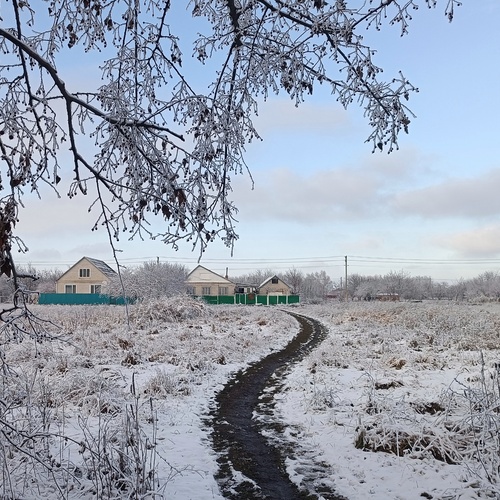 Photo #13780610