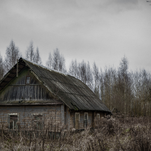 Photo #13780641