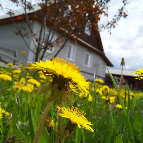 Photo #13780642