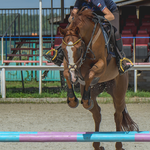 Photo #13780676