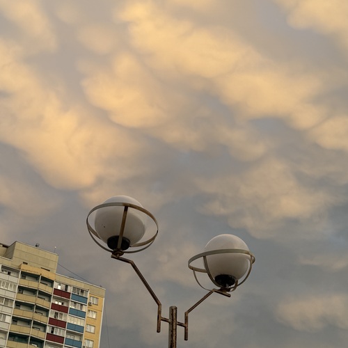 Photo #13780683