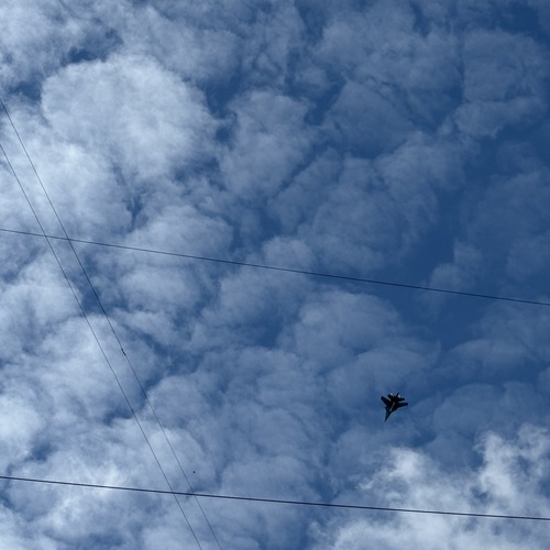 Photo #13780686