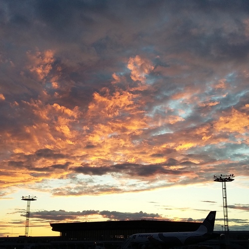 Photo #13780698
