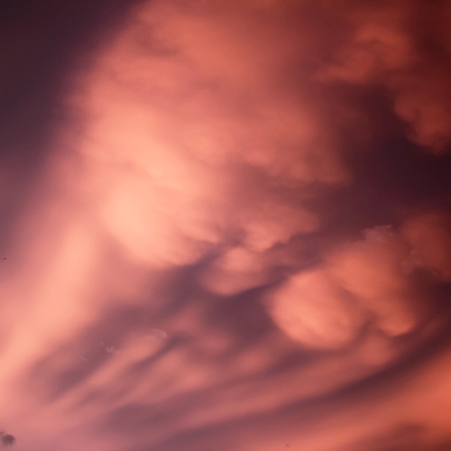 Photo #13780729