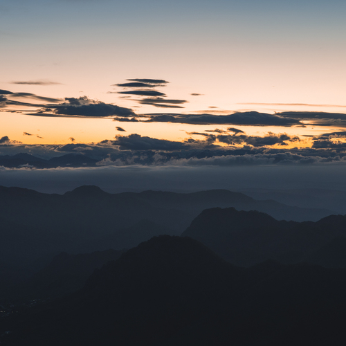 Photo #13780804