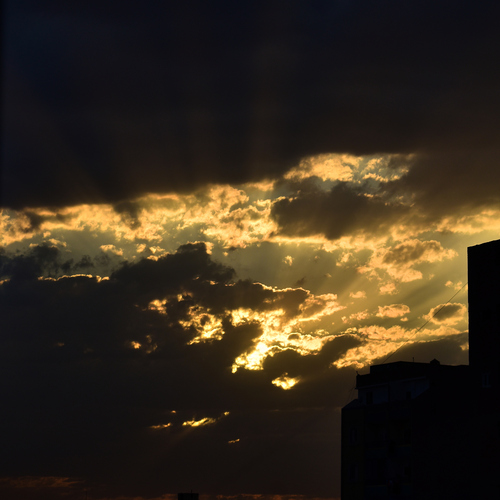 Photo #13780842