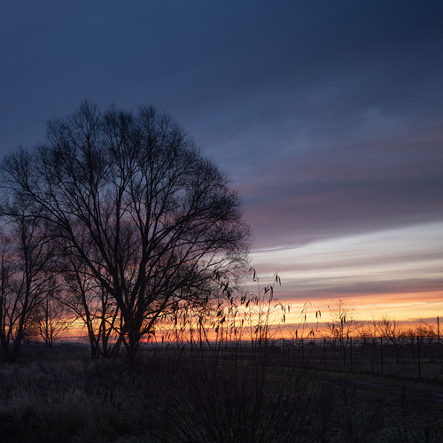 Photo #13780872