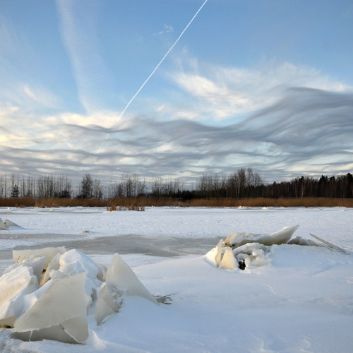Photo #13780886