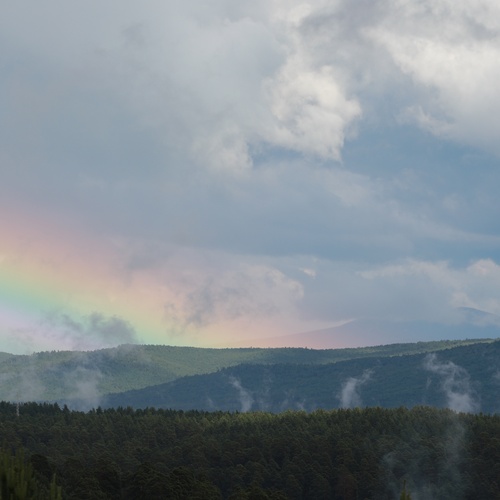 Photo #13780897