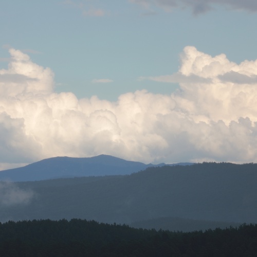 Photo #13780899