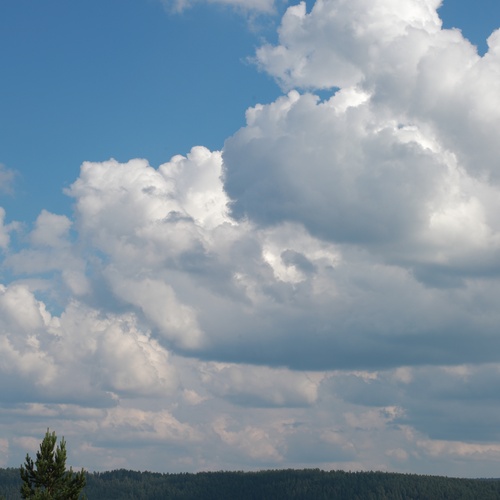 Photo #13780900