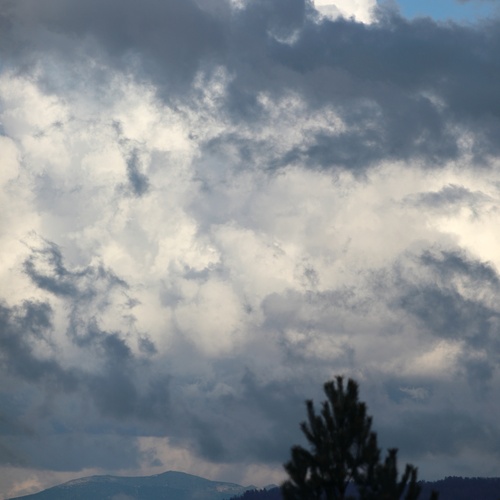 Photo #13780906
