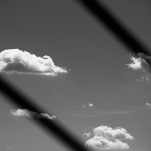 Photo #13780907