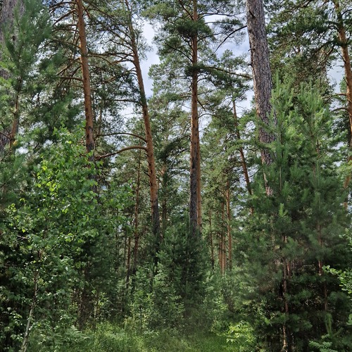Photo #13780927