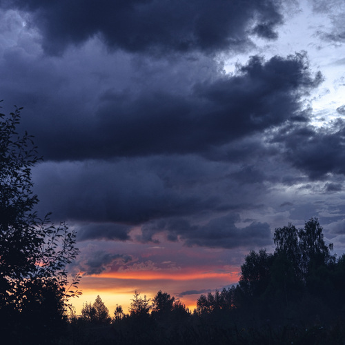 Photo #13780938