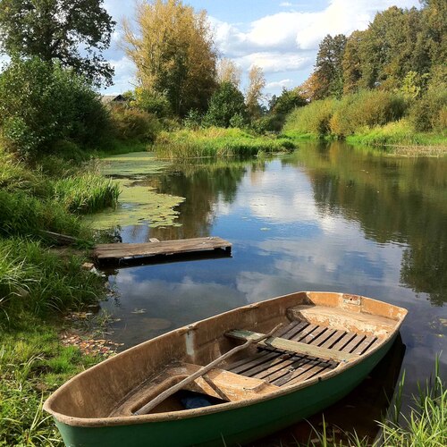 Photo #13780941