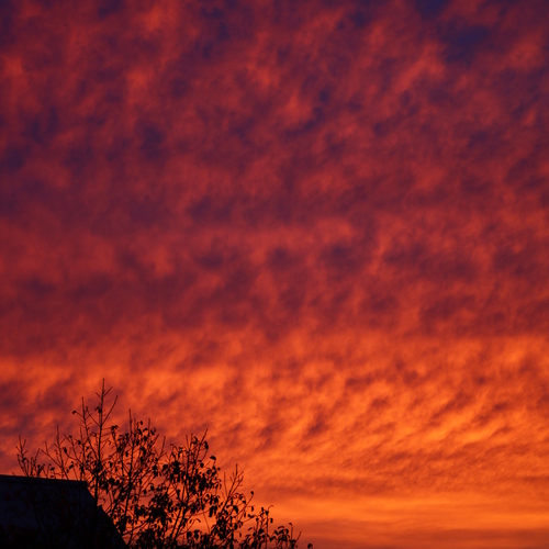Photo #13780949