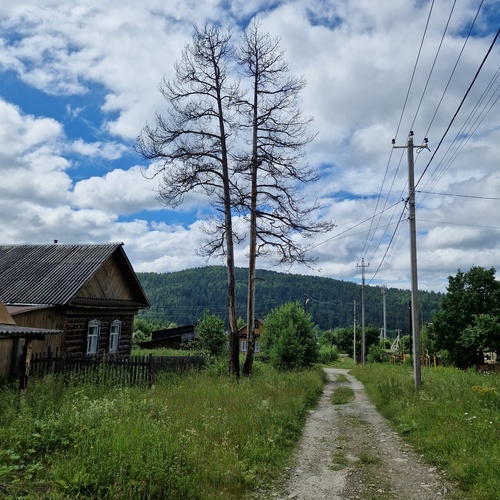 Photo #13780955