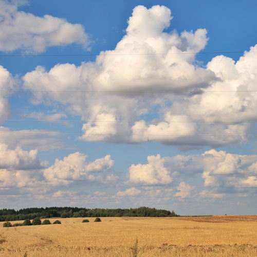 Photo #13780984