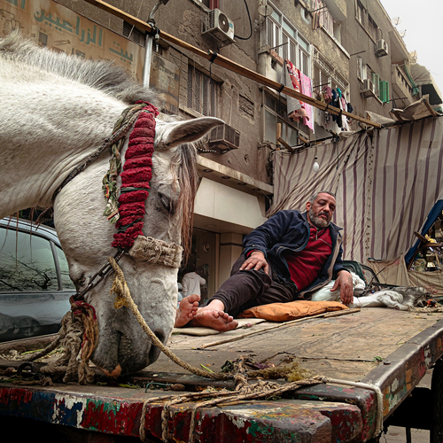 Photo #13780985