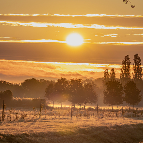 Sunrise