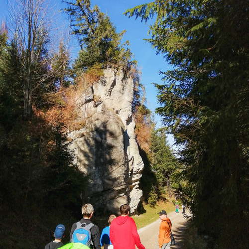Photo #13781003
