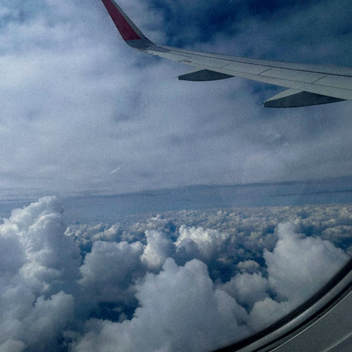 Photo #13781028