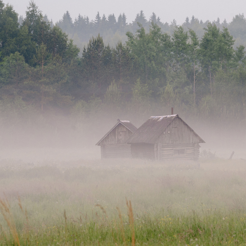 Photo #13781036