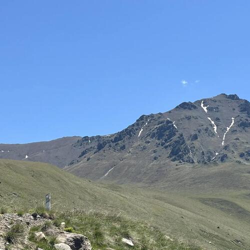 Photo #13781052