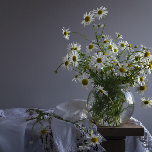 Photo #13781098