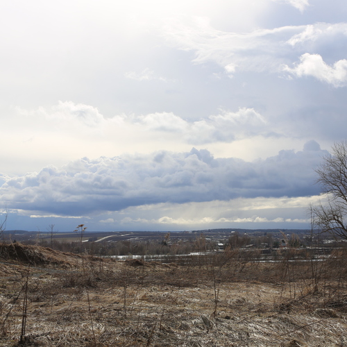 Photo #13781151