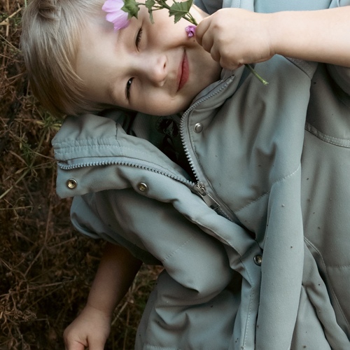 Photo #13781163