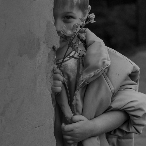 Photo #13781169