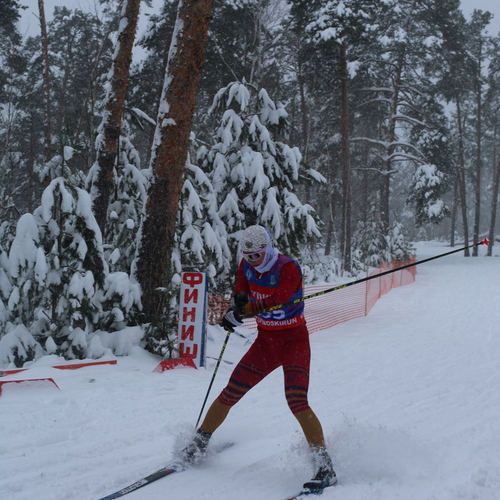 Photo #13781197