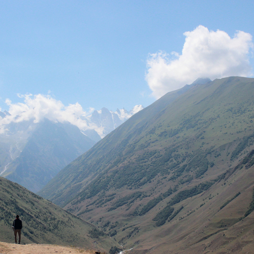 Photo #13781262