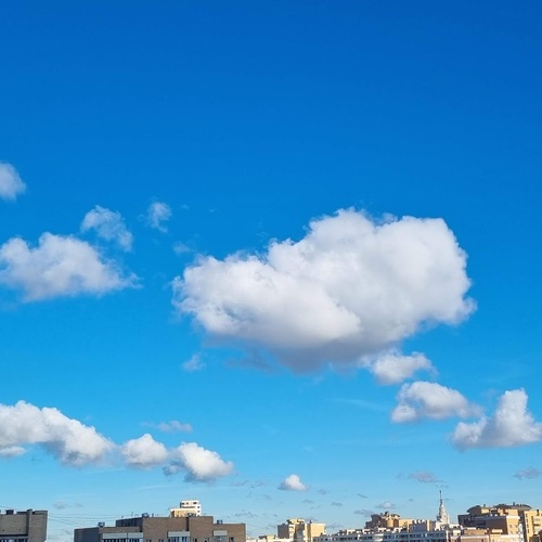 Photo #13781268