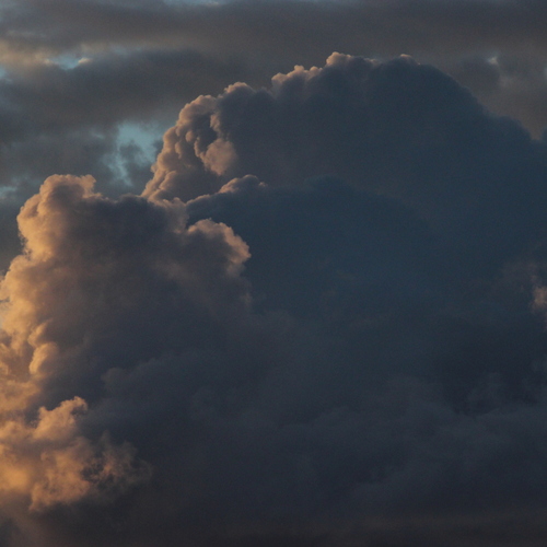 Photo #13781287